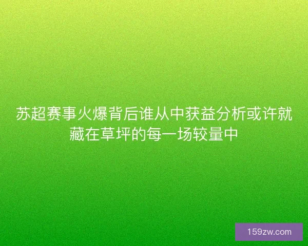 苏超赛事火爆背后谁从中获益分析或许就藏在草坪的每一场较量中 苏超赛事火爆背后谁从中获益分析或许就藏在草坪的每一场较量中